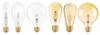 1906 Vintage Edison LED Bulb,  7 Watt,  E27,  Dimmable,  Warm White,  Gold Filament Osram