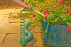 Coil Garden Hose
