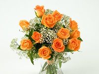 Dozen Orange Roses