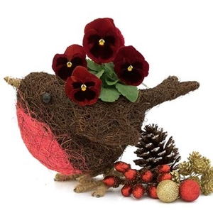 Gift Robin Small Planter with Red Pansies