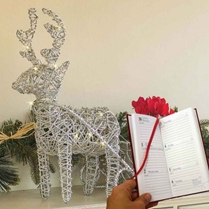 Gift Silver Reindeer & Sleigh Planter with Cyclamen LED And Diary