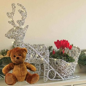 Gift Silver Reindeer & Sleigh Planter With Cyclamen,  LEDs And Teddy