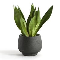 Blompot China Planter Dia17cm