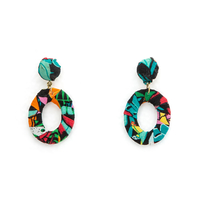 Multi-Coloured Earrings