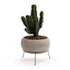 Ollam Cement Plant Pot