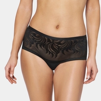 Palm Spotlight Slashed Shorty