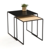 Rosali Nest of 2 Coffee Tables in Metal & Cane