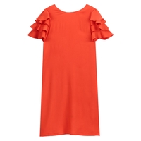 Ruffle Sleeve Shift Dress