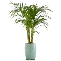 Saksio Terracotta Planter
