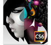 Adobe Creative Suite 6 Design Standard for Windows