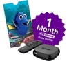 NOW TV Box with 1 month Sky Movies Pass & Sky Store Voucher