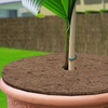 Plant Cover Coir Disk Winter Covering