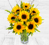 Sunny Sunflowers