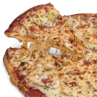 Bug Pizza Kit