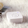 Compact Dream Light