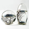 EcoSphere - Large