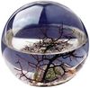 Ecosphere - Large Round