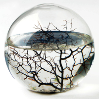 EcoSphere - Medium