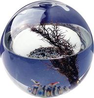 Ecosphere - Medium