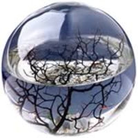 Ecosphere - Small