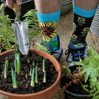 Fork It Mens Socks