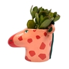 Giraffe Plant Pot