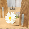 Personalised Beech Vases