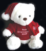Personalised Christmas Teddy Bear