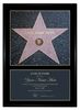 Personalised Star of Fame