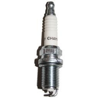 Champion RC12PYP Spark Plug Platinum