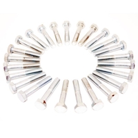 GS04019 - BOLTS 1 1/2