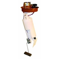 Original Walbro In-Tank Fuel Injection Pump Module (TU119)