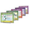 Computer Systems Interactive - Pack of 5 In One CD