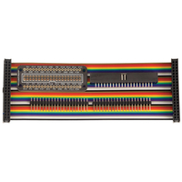 Cyntech CTLBREAK-TCOBB40-01 Breadboard Breakout for Raspberry Pi M...