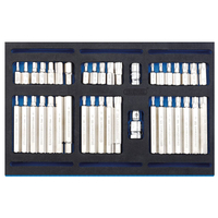 Draper 63515 Screwdriver Insert Bit Set in 1/4 Drawer EVA Insert T...
