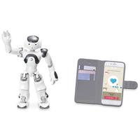ELIAS Workshop: Pedagogical use of the NAO6 robot