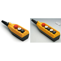 EMAS PV3E30B4 Crane Pendant 2 Hole + Emergency Stop Double Speed