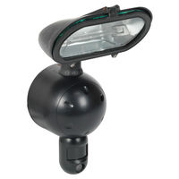 Halogen Auto Security Light with Camera 300W/230V