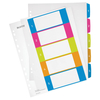 Leitz Index Print 1-12 WOW A4 PP Coloured