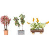 Noch 14014 HO Ornamental Plants in Pots 3 Flower Pots