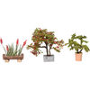 Noch 14020 HO Ornamental Plants in Pots 3 Flower Pots