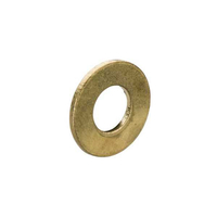 Schneider Electric 3747755 M4 Brass Washers (Pack of 100)