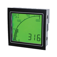 Trumeter APM-PROC-APO APM Process Meter Positive LCD with Outputs