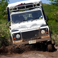 4x4 Island Safari & Stingray City - Child (West Coast)