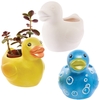 Duck Ceramic Flowerpots (Box of 2) Nature Craft Kits