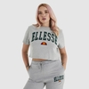 Mondo Crop T-Shirt Grey Marl