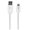 6in Lightning To Usb Cable