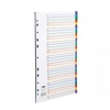 Concord Plastic Index Polypropylene 120 Micron Europunched 1-31 A4