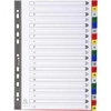 Exa Index 20pt 1-20 PP Col Tabs