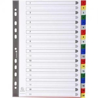 Exa Index 20pt 1-20 PP Col Tabs